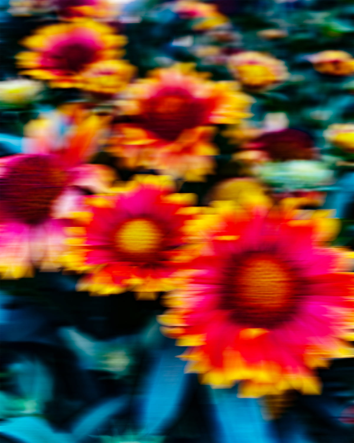 Flower with a vibrant digital drag effect, creating colorful stretched trails and an artistic motion distortion.