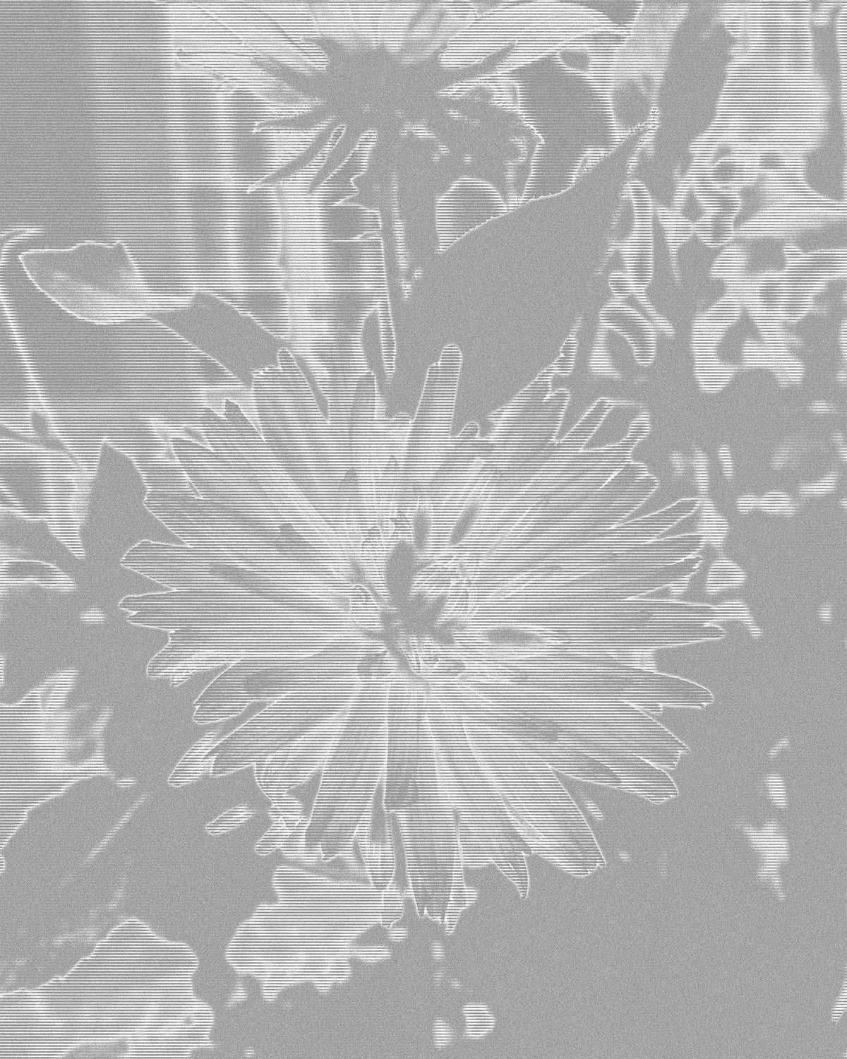 Flower transformed with a Silver Scan effect, featuring metallic tones, fine scan lines, and a sleek futuristic digital aesthetic.